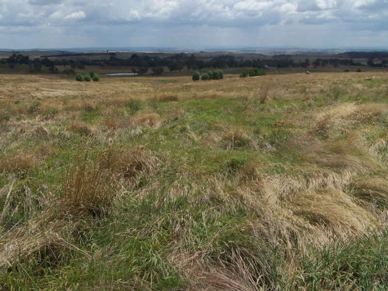 “WYTALIBA NORTH” Taralga Road, Laggan NSW 2583