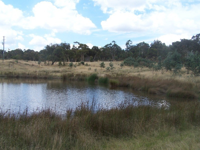 1573 Marked Tree Road, Gundaroo NSW 2620