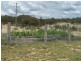 1573 Marked Tree Road, Gundaroo NSW 2620