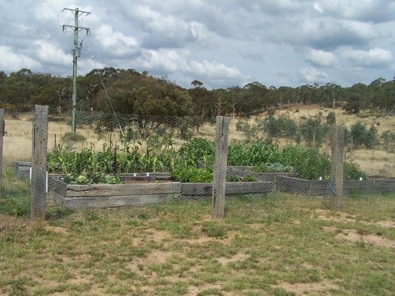 1573 Marked Tree Road, Gundaroo NSW 2620
