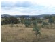 1573 Marked Tree Road, Gundaroo NSW 2620