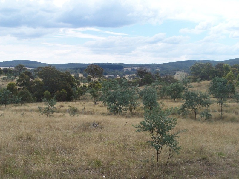 1573 Marked Tree Road, Gundaroo NSW 2620
