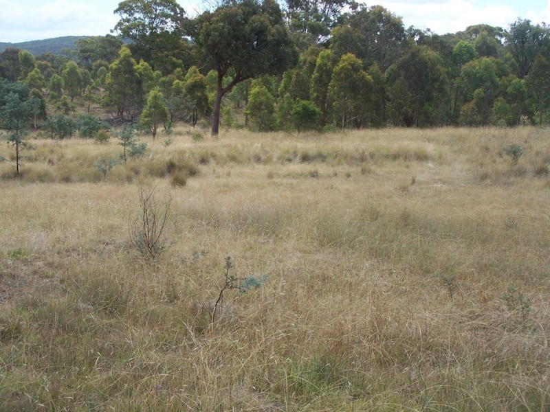 1573 Marked Tree Road, Gundaroo NSW 2620