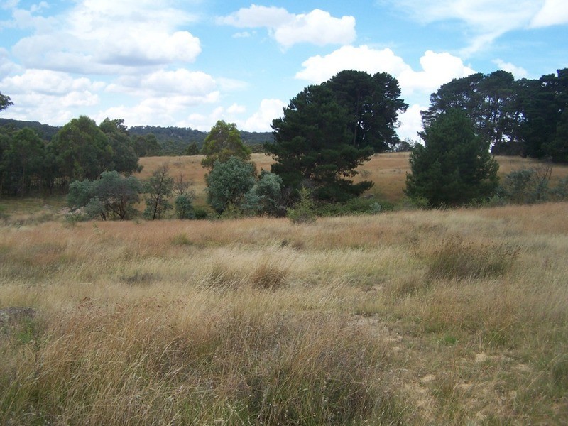 1573 Marked Tree Road, Gundaroo NSW 2620