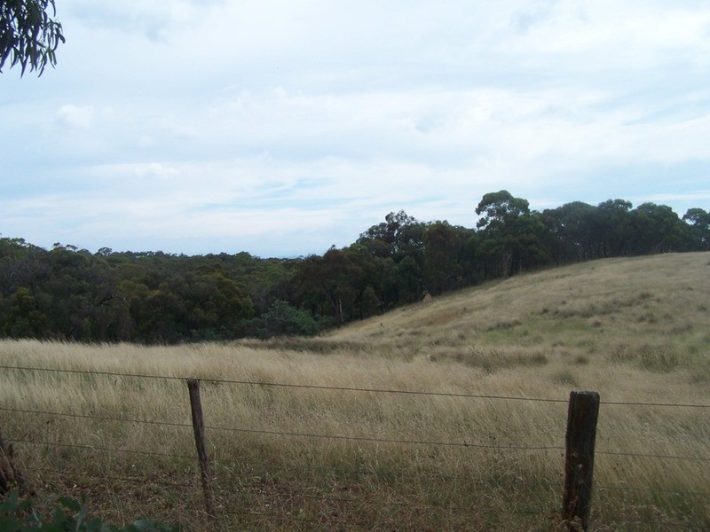 1573 Marked Tree Road, Gundaroo NSW 2620