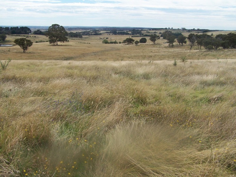 Spring View Lot 11 Off Taralga Road, Laggan NSW 2583