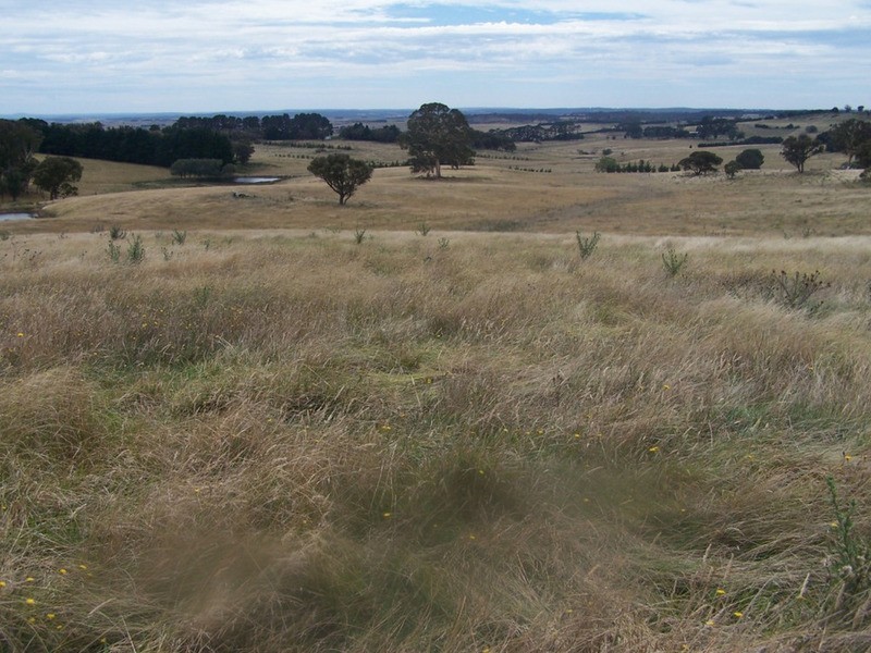 Spring View Lot 11 Off Taralga Road, Laggan NSW 2583