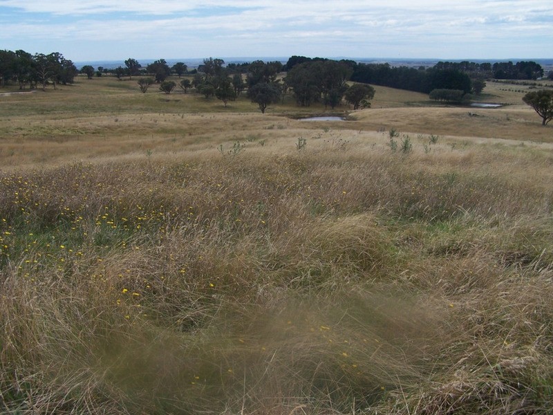 Spring View Lot 11 Off Taralga Road, Laggan NSW 2583