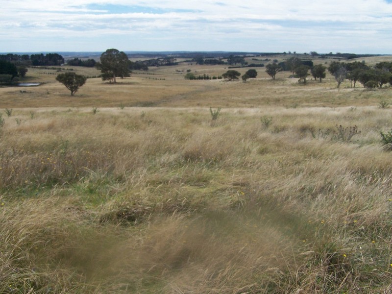 Spring View Lot 11 Off Taralga Road, Laggan NSW 2583