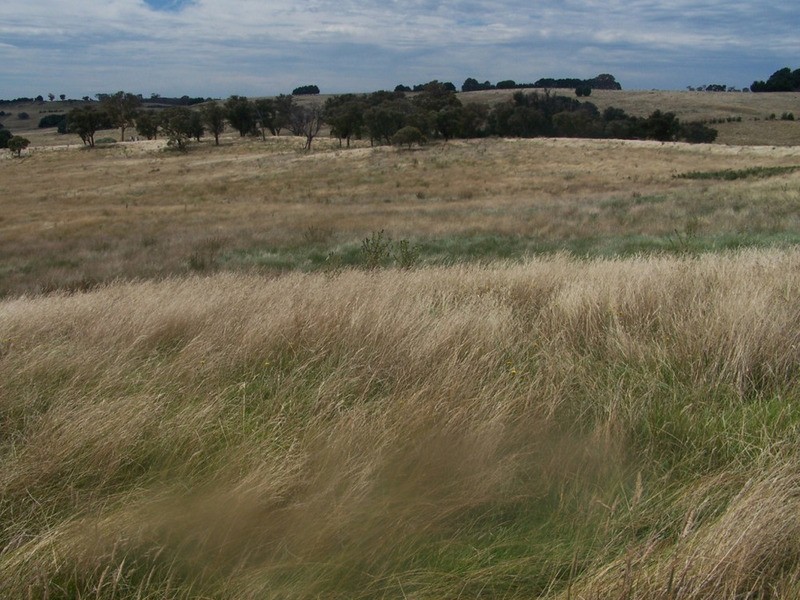 Spring View Lot 11 Off Taralga Road, Laggan NSW 2583