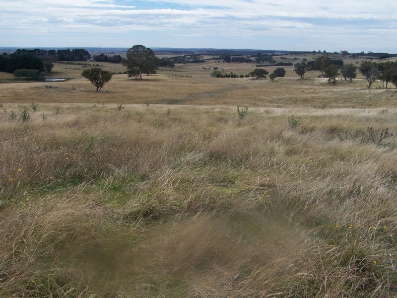 Spring View Lot 11 Off Taralga Road, Laggan NSW 2583