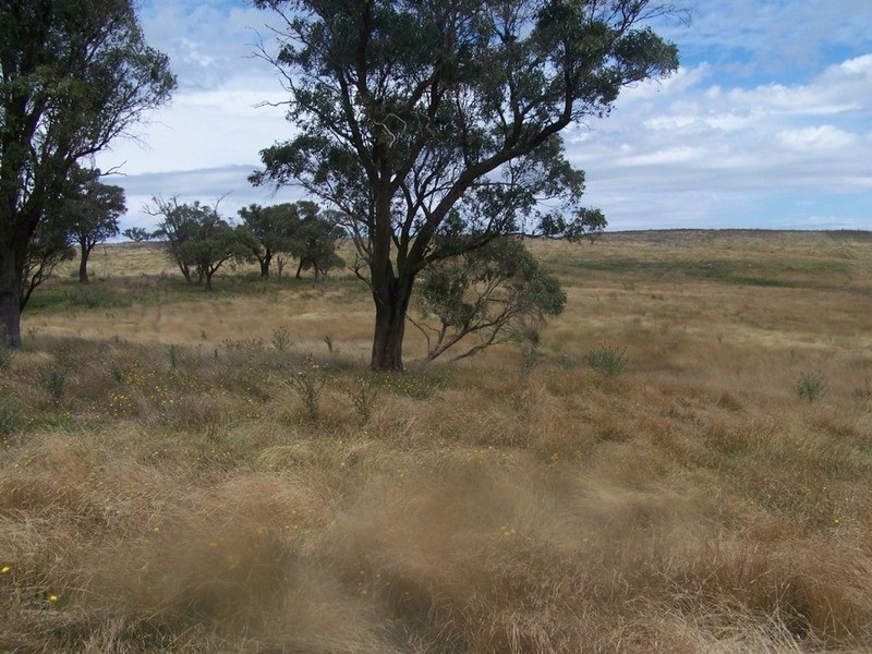 Spring View Lot 11 Off Taralga Road, Laggan NSW 2583