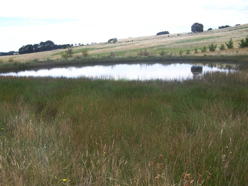 Spring View Lot 11 Off Taralga Road, Laggan NSW 2583