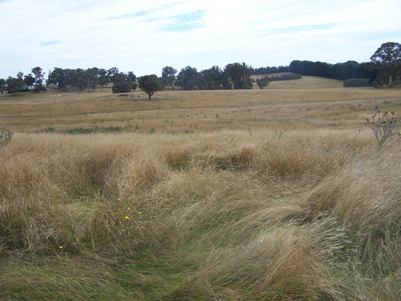 Spring View Lot 11 Off Taralga Road, Laggan NSW 2583