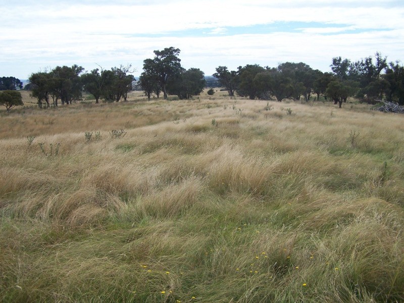 Spring View Lot 11 Off Taralga Road, Laggan NSW 2583
