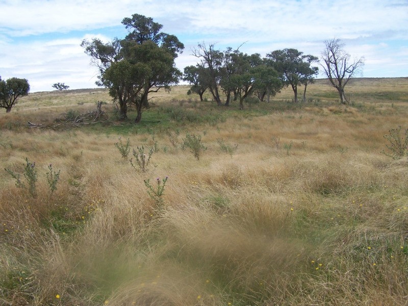 Spring View Lot 11 Off Taralga Road, Laggan NSW 2583
