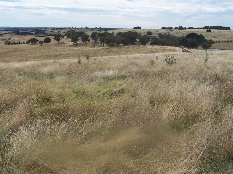 Spring View Lot 11 Off Taralga Road, Laggan NSW 2583