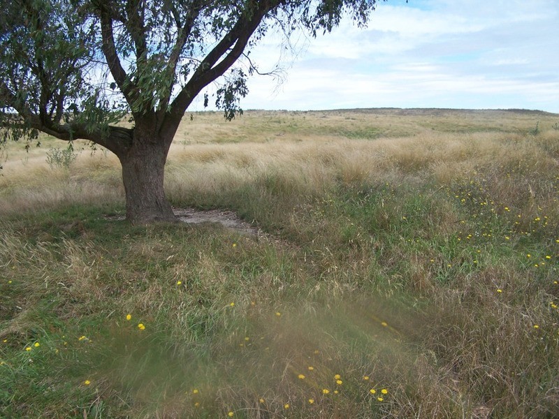 Spring View Lot 11 Off Taralga Road, Laggan NSW 2583