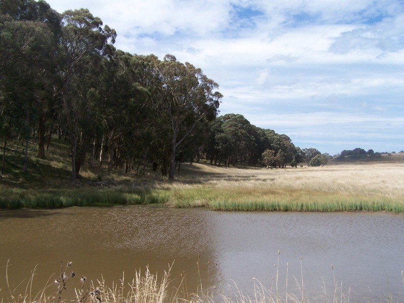 5520 Oberon Road, Taralga NSW 2580