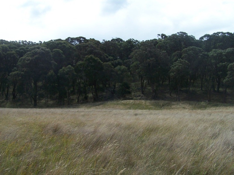 5520 Oberon Road, Taralga NSW 2580