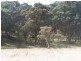 5520 Oberon Road, Taralga NSW 2580