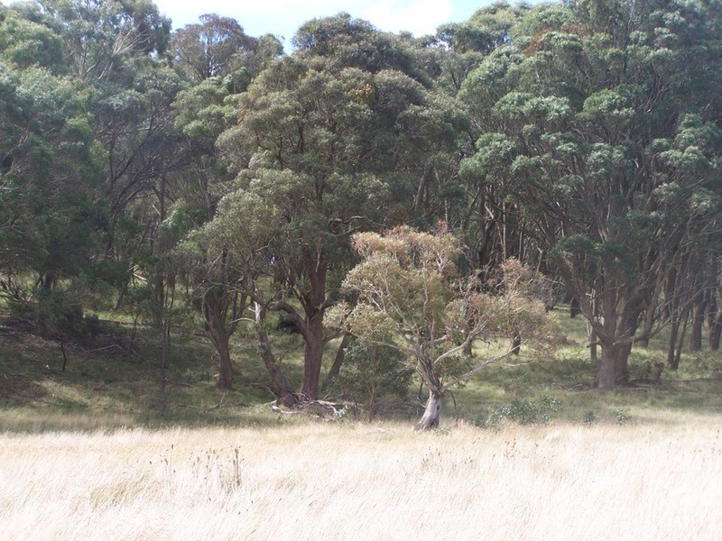 5520 Oberon Road, Taralga NSW 2580