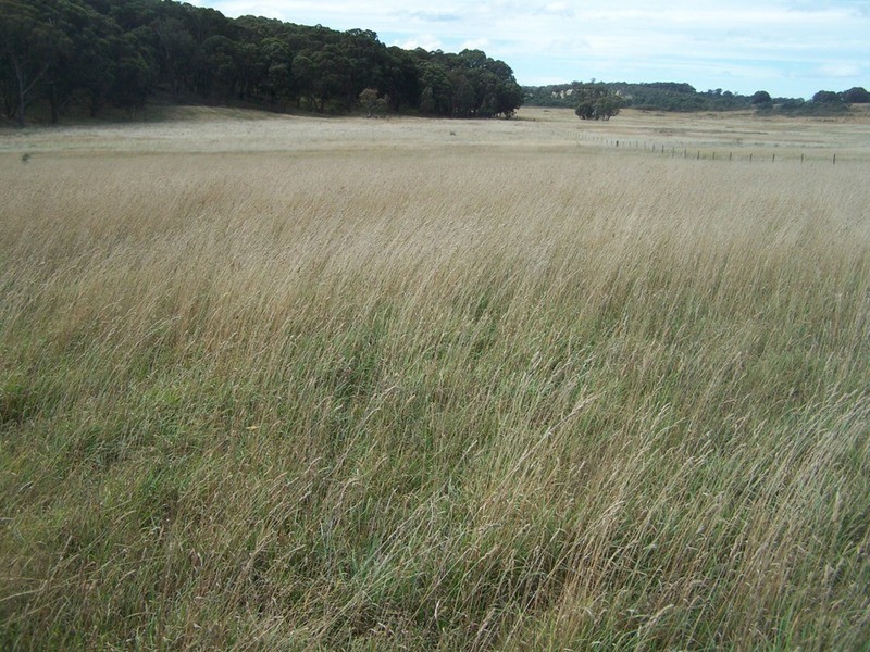 5520 Oberon Road, Taralga NSW 2580