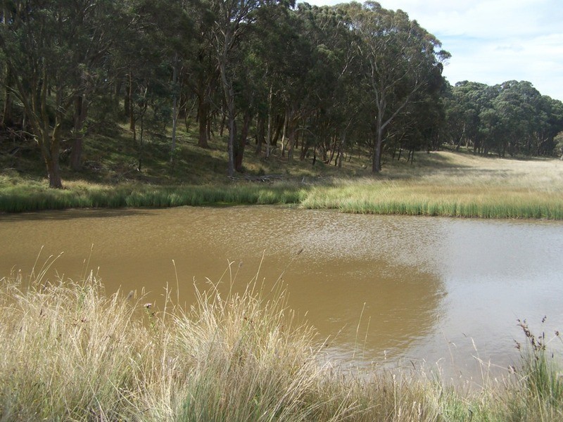 5520 Oberon Road, Taralga NSW 2580