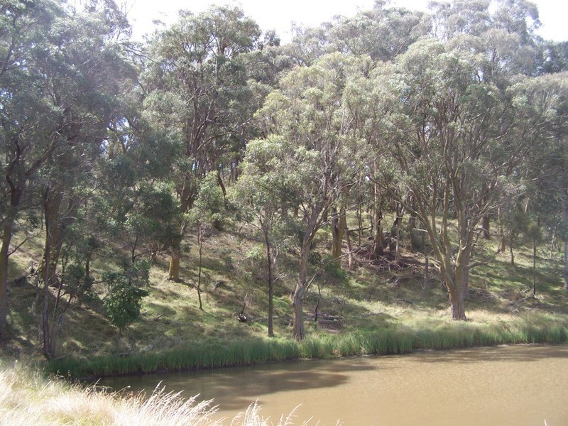 5520 Oberon Road, Taralga NSW 2580