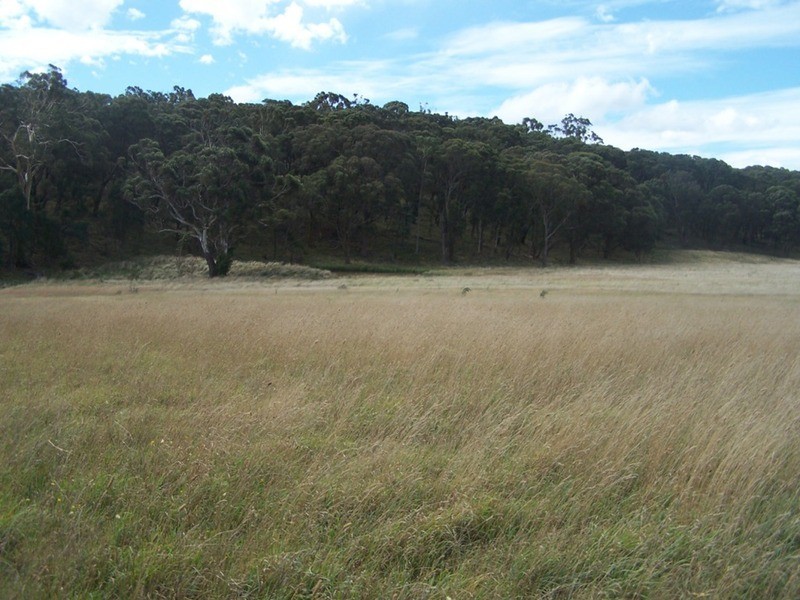 5520 Oberon Road, Taralga NSW 2580