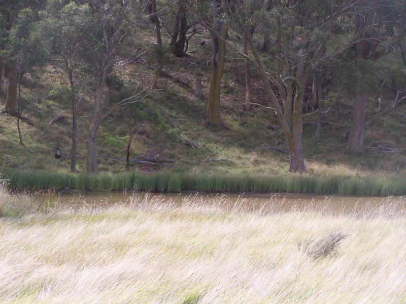 5520 Oberon Road, Taralga NSW 2580