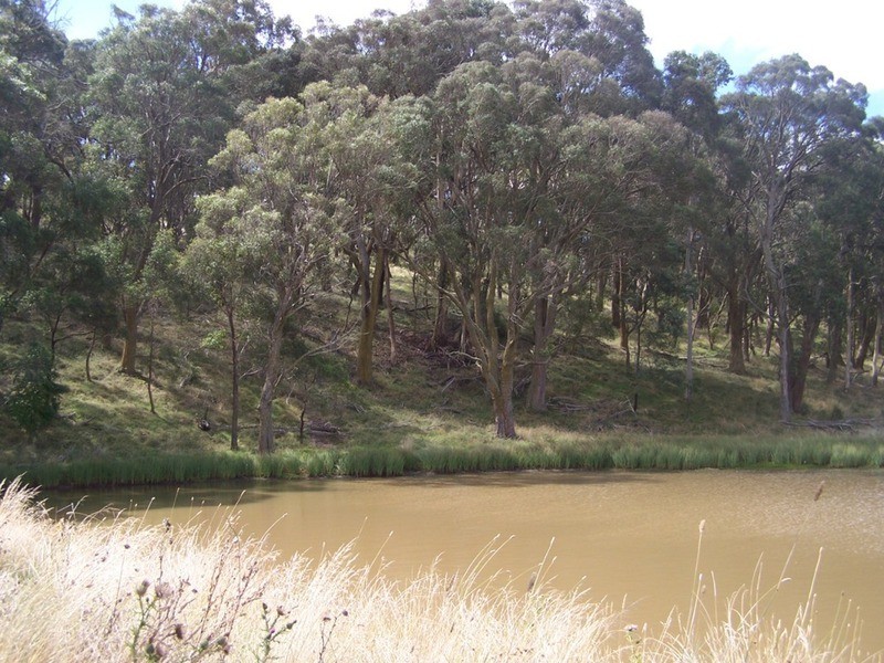 5520 Oberon Road, Taralga NSW 2580