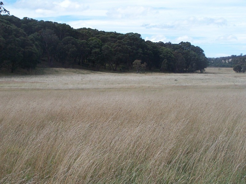 5520 Oberon Road, Taralga NSW 2580