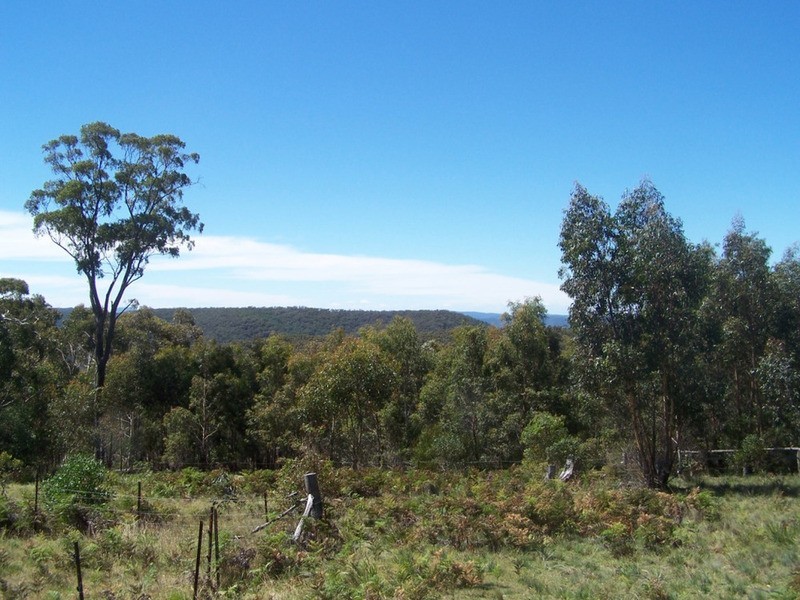 387 Mares Forest Road, Taralga NSW 2580
