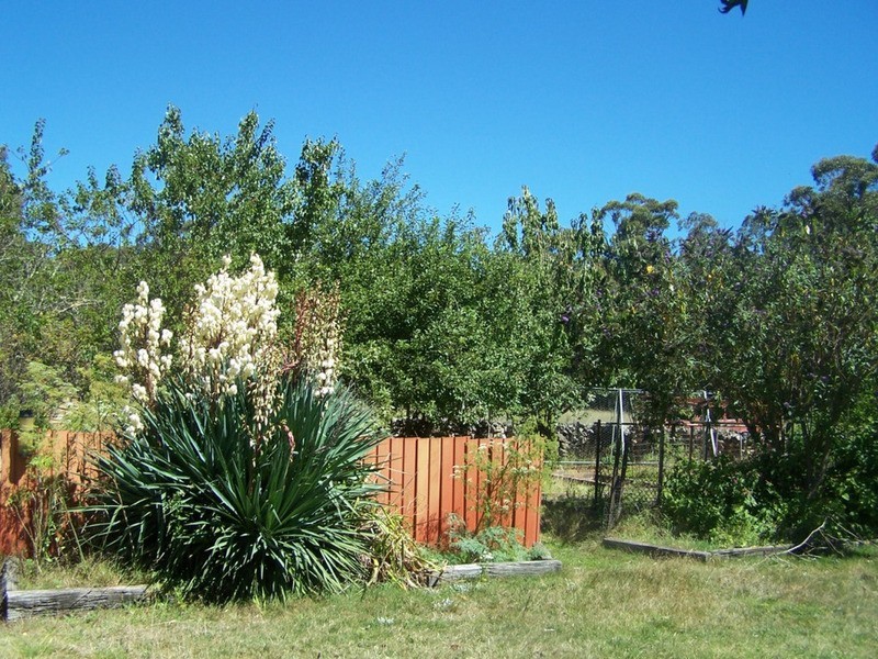 387 Mares Forest Road, Taralga NSW 2580