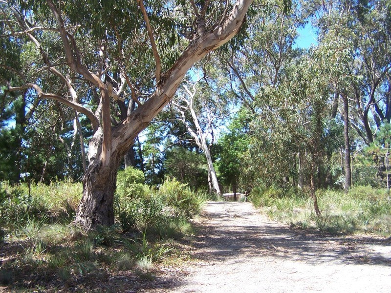 387 Mares Forest Road, Taralga NSW 2580