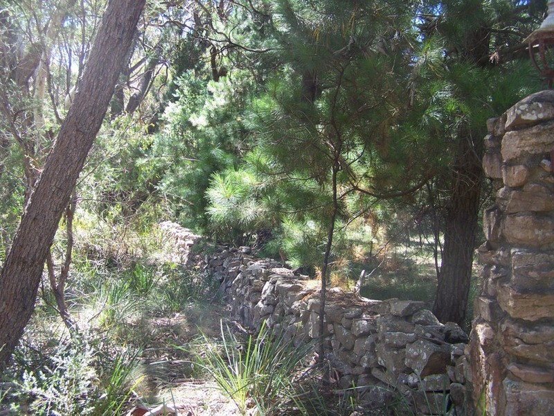 387 Mares Forest Road, Taralga NSW 2580