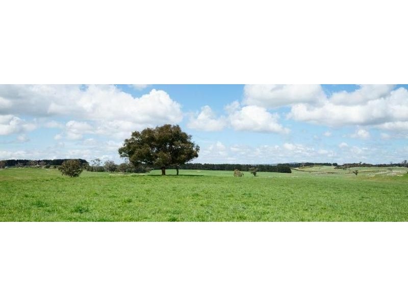 “WYTALIBA”  2134 Woodhouselee Road, Roslyn NSW 2580