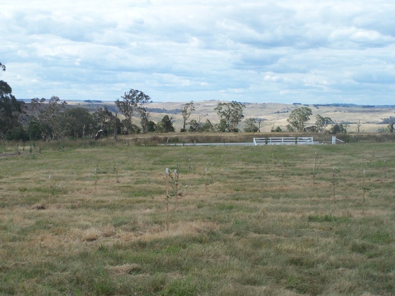 376 Chapmans Lane, Tarlo NSW 2580