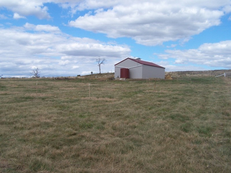 376 Chapmans Lane, Tarlo NSW 2580