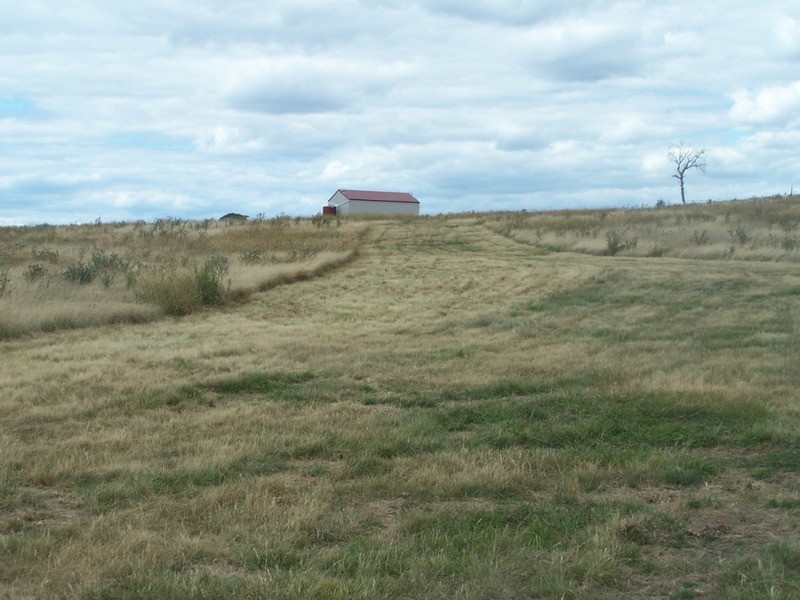 376 Chapmans Lane, Tarlo NSW 2580