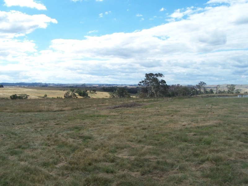 376 Chapmans Lane, Tarlo NSW 2580