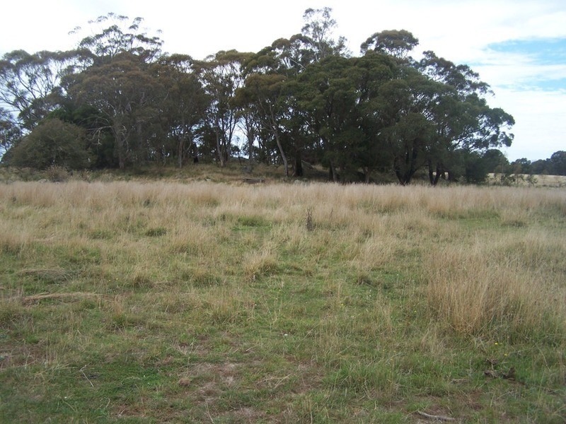 484 Scabben Flat Road, Taralga NSW 2580