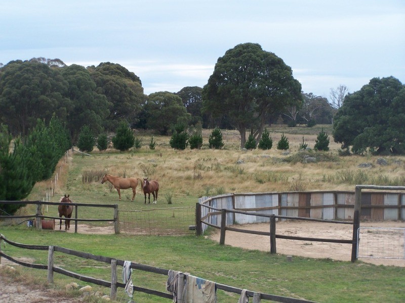 484 Scabben Flat Road, Taralga NSW 2580