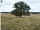 484 Scabben Flat Road, Taralga NSW 2580