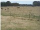 484 Scabben Flat Road, Taralga NSW 2580