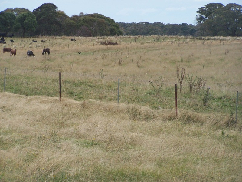 484 Scabben Flat Road, Taralga NSW 2580