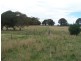 484 Scabben Flat Road, Taralga NSW 2580