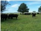 274 Painters Lane, Goulburn NSW 2580