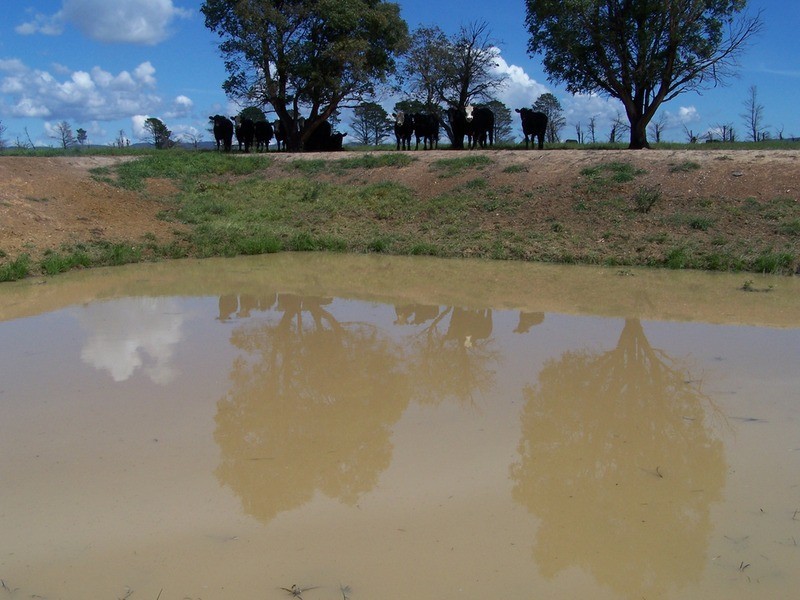 274 Painters Lane, Goulburn NSW 2580